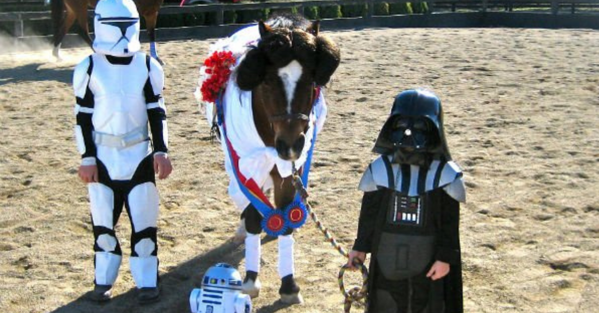 25 Horse & Rider Halloween Costume Ideas You Won’t Believe! — free download